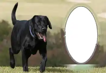 Efekt zdjęciowy z kategorii Różne № 68746 Efekt zdjęciowy z kategorii Różne № 68746