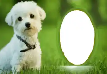 Efekt zdjęciowy z kategorii Różne № 68748 Efekt zdjęciowy z kategorii Różne № 68748