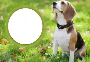 Efekt zdjęciowy z kategorii Różne № 68749 Efekt zdjęciowy z kategorii Różne № 68749