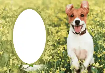 Efekt zdjęciowy z kategorii Różne № 68750 Efekt zdjęciowy z kategorii Różne № 68750