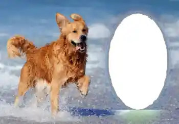 Efekt zdjęciowy z kategorii Różne № 68751 Efekt zdjęciowy z kategorii Różne № 68751