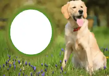 Efekt zdjęciowy z kategorii Różne № 68752 Efekt zdjęciowy z kategorii Różne № 68752