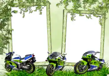 Efekt zdjęciowy z kategorii Różne № 70952