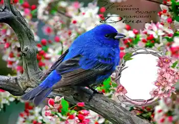 Napis na ramce: Пусть ярким будет каждый День...