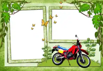 Efekt zdjęciowy z kategorii Różne № 72138