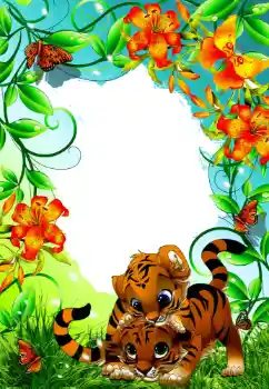 Efekt zdjęciowy z kategorii Różne № 72415