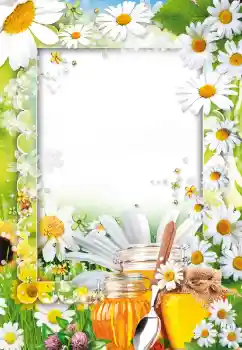 Efekt zdjęciowy z kategorii Różne № 73499