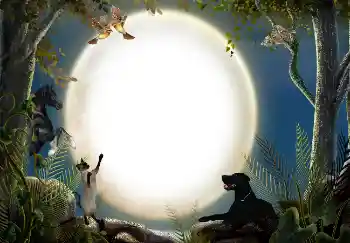 Efekt zdjęciowy z kategorii Różne № 7470