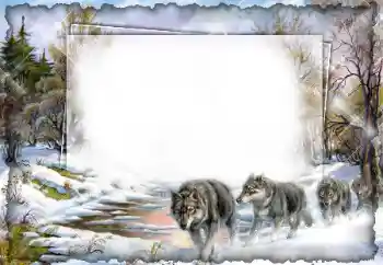 Efekt zdjęciowy z kategorii Różne № 7512