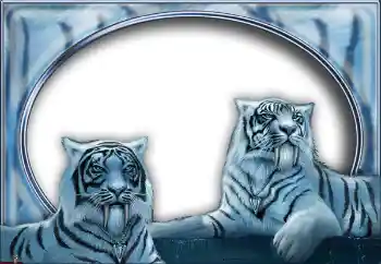 Efekt zdjęciowy z kategorii Różne № 7517