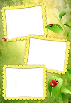 Efekt zdjęciowy z kategorii Różne № 79010