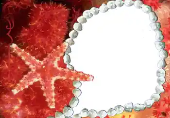 Efekt zdjęciowy z kategorii Różne № 80293