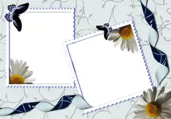 Efekt zdjęciowy z kategorii Różne № 80319