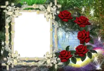 Efekt zdjęciowy z kategorii Różne № 80386