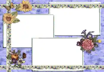 Efekt zdjęciowy z kategorii Różne № 81614