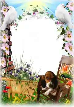 Efekt zdjęciowy z kategorii Różne № 81633