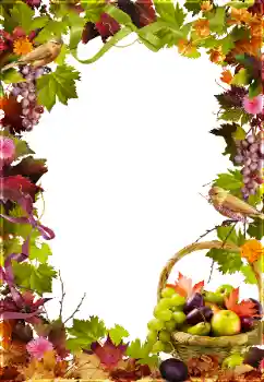 Efekt zdjęciowy z kategorii Różne № 81650