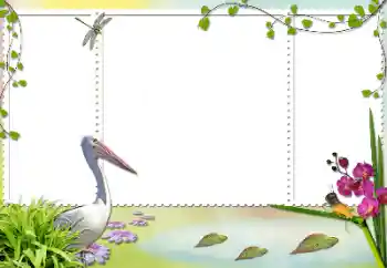 Efekt zdjęciowy z kategorii Różne № 84103