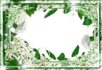 Efekt zdjęciowy z kategorii Różne № 85233