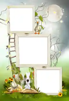 Efekt zdjęciowy z kategorii Różne № 85259