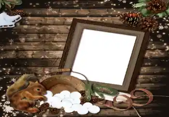 Efekt zdjęciowy z kategorii Różne № 8587