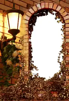 Efekt zdjęciowy z kategorii Różne № 8595