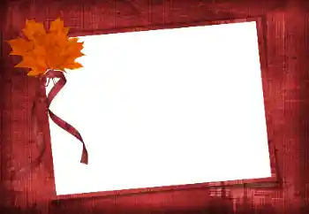 Efekt zdjęciowy z kategorii Różne № 86582