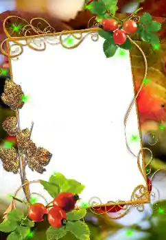 Efekt zdjęciowy z kategorii Różne № 8676