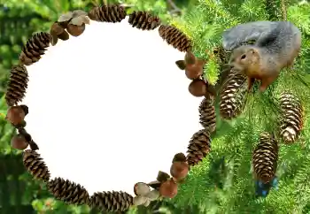 Efekt zdjęciowy z kategorii Różne № 8682