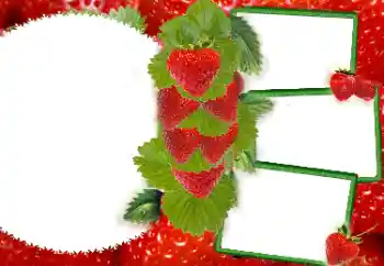 Efekt zdjęciowy z kategorii Różne № 8738