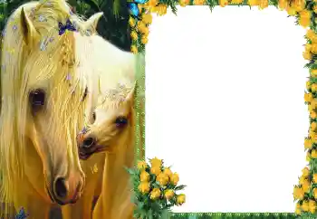 Efekt zdjęciowy z kategorii Różne № 87686