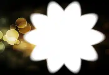 Efekt zdjęciowy z kategorii Różne № 88034