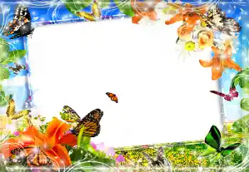 Efekt zdjęciowy z kategorii Różne № 89452