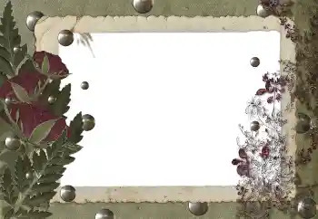 Efekt zdjęciowy z kategorii Różne № 89455