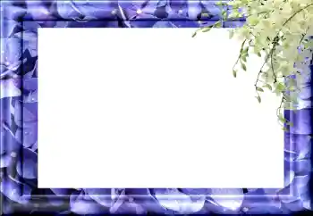 Efekt zdjęciowy z kategorii Różne № 89460