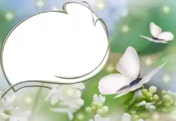 Efekt zdjęciowy z kategorii Różne № 90527