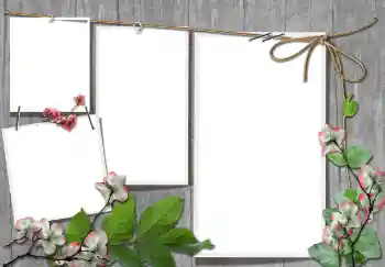 Efekt zdjęciowy z kategorii Różne № 91740