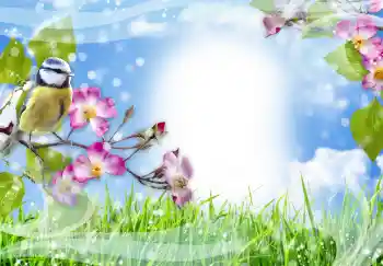 Efekt zdjęciowy z kategorii Różne № 91774