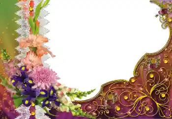 Efekt zdjęciowy z kategorii Różne № 91827 Efekt zdjęciowy z kategorii Różne № 91827