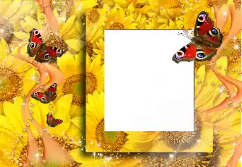 Efekt zdjęciowy z kategorii Różne № 91829 Efekt zdjęciowy z kategorii Różne № 91829