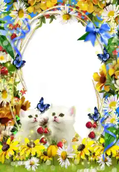 Efekt zdjęciowy z kategorii Różne № 93351