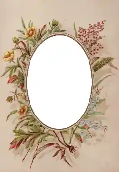 Efekt zdjęciowy z kategorii Różne № 93398