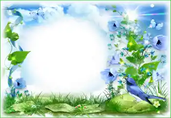 Efekt zdjęciowy z kategorii Różne № 94495