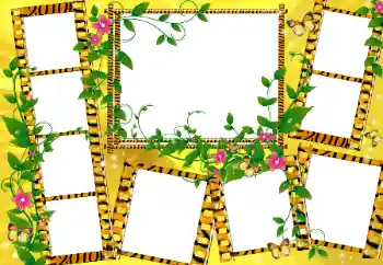 Efekt zdjęciowy z kategorii Różne № 94553