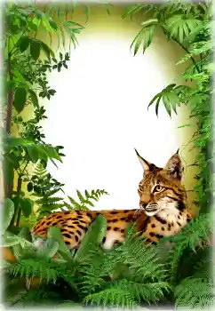 Efekt zdjęciowy z kategorii Różne № 94618 Efekt zdjęciowy z kategorii Różne № 94618