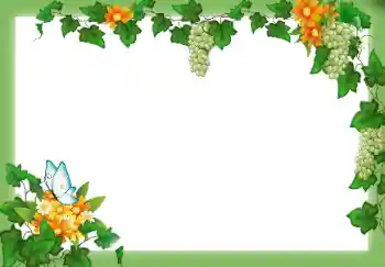 Efekt zdjęciowy z kategorii Różne № 9658