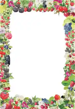 Efekt zdjęciowy z kategorii Różne № 9790