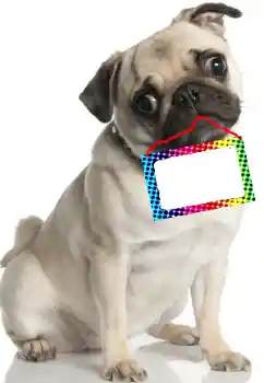 Efekt zdjęciowy z kategorii Różne № 99781 Efekt zdjęciowy z kategorii Różne № 99781