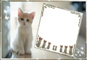 Efekt zdjęciowy z kategorii Różne № 99811 Efekt zdjęciowy z kategorii Różne № 99811