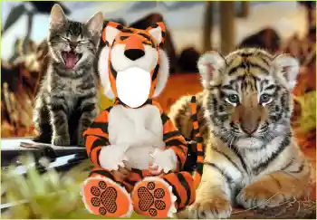 Efekt zdjęciowy z kategorii Dla dzieci № 118830 Efekt zdjęciowy z kategorii Dla dzieci № 118830